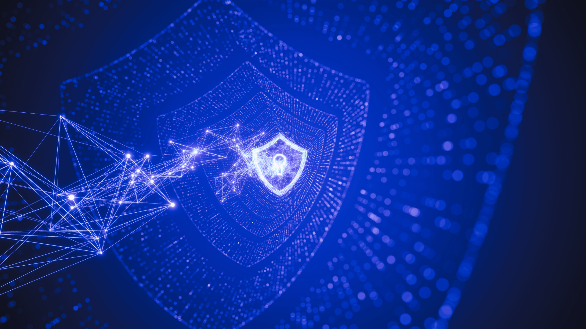 Assegai’s Comprehensive Data Management Solutions!